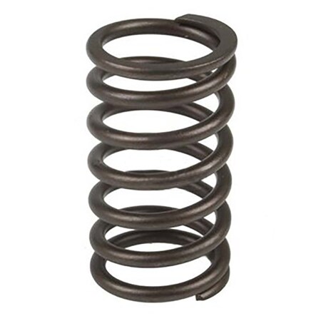Valve Spring